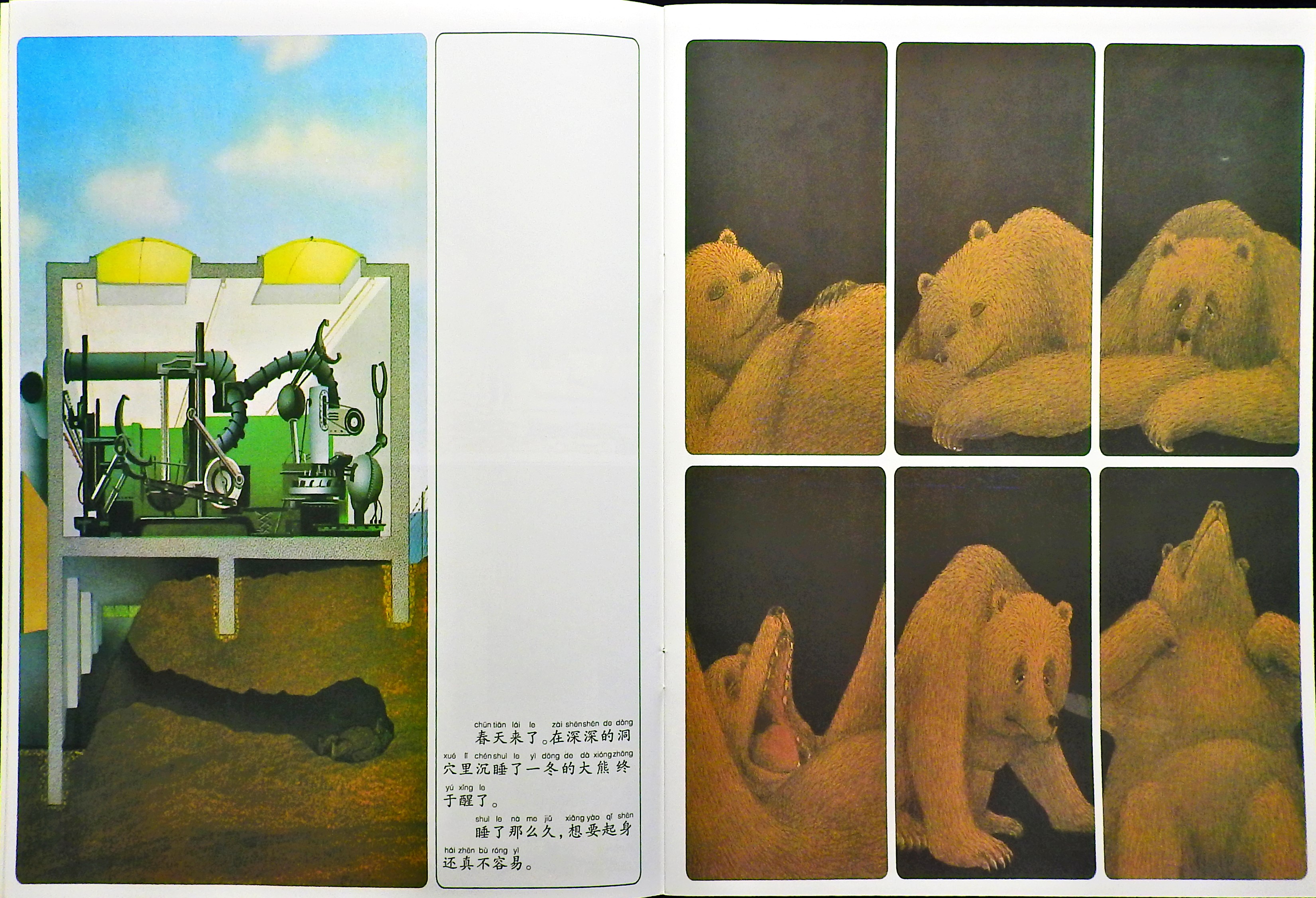 森林大熊 (05),绘本,绘本故事,绘本阅读,故事书,童书,图画书,课外阅读